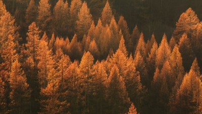 8 consells per guanyar confort i aprofitar millor l'energia aquesta tardor