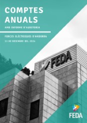 Comptes anuals de FEDA